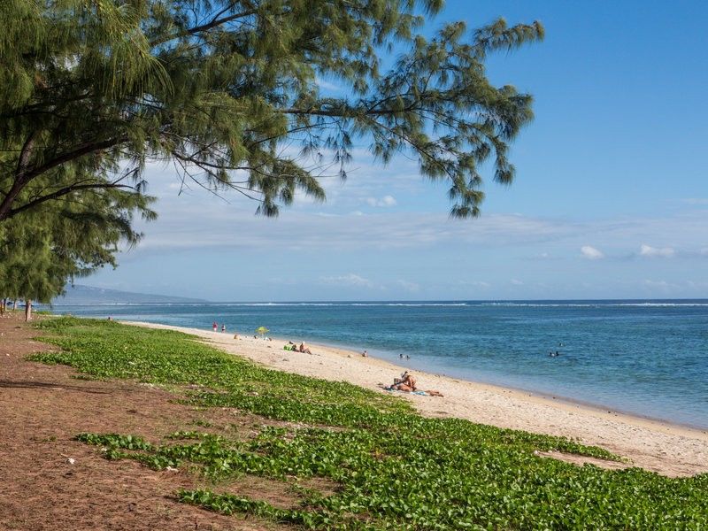 Le Nautile Beachfront Saint-Gilles-les Bains Exteriör bild