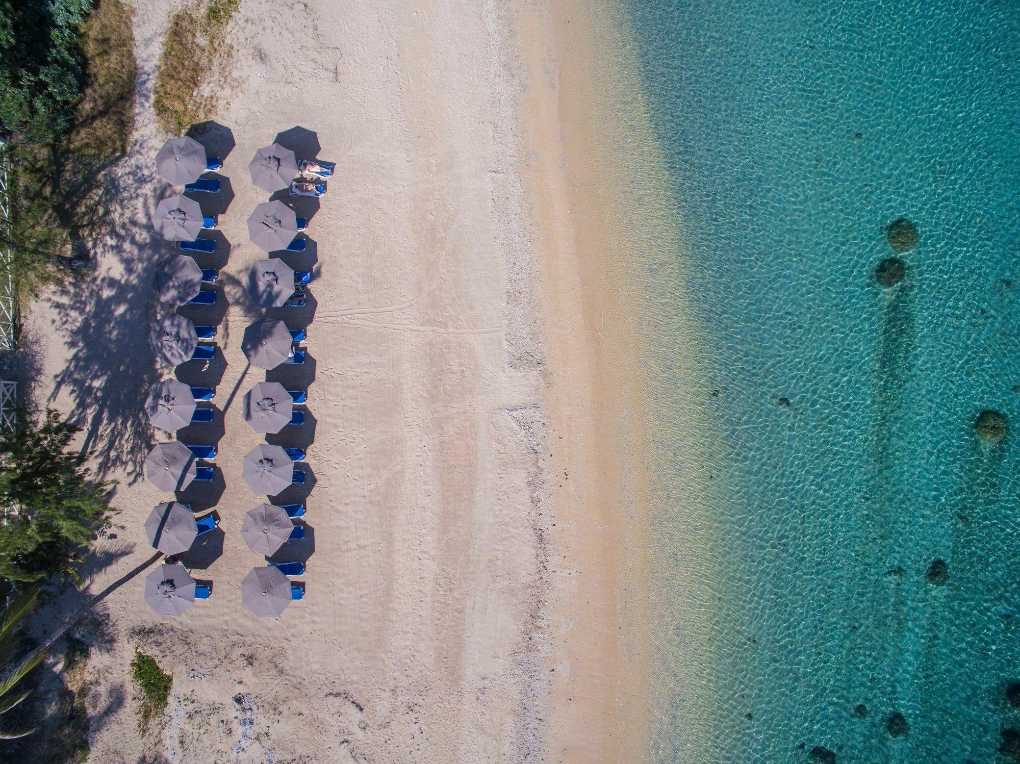 Le Nautile Beachfront Saint-Gilles-les Bains Exteriör bild